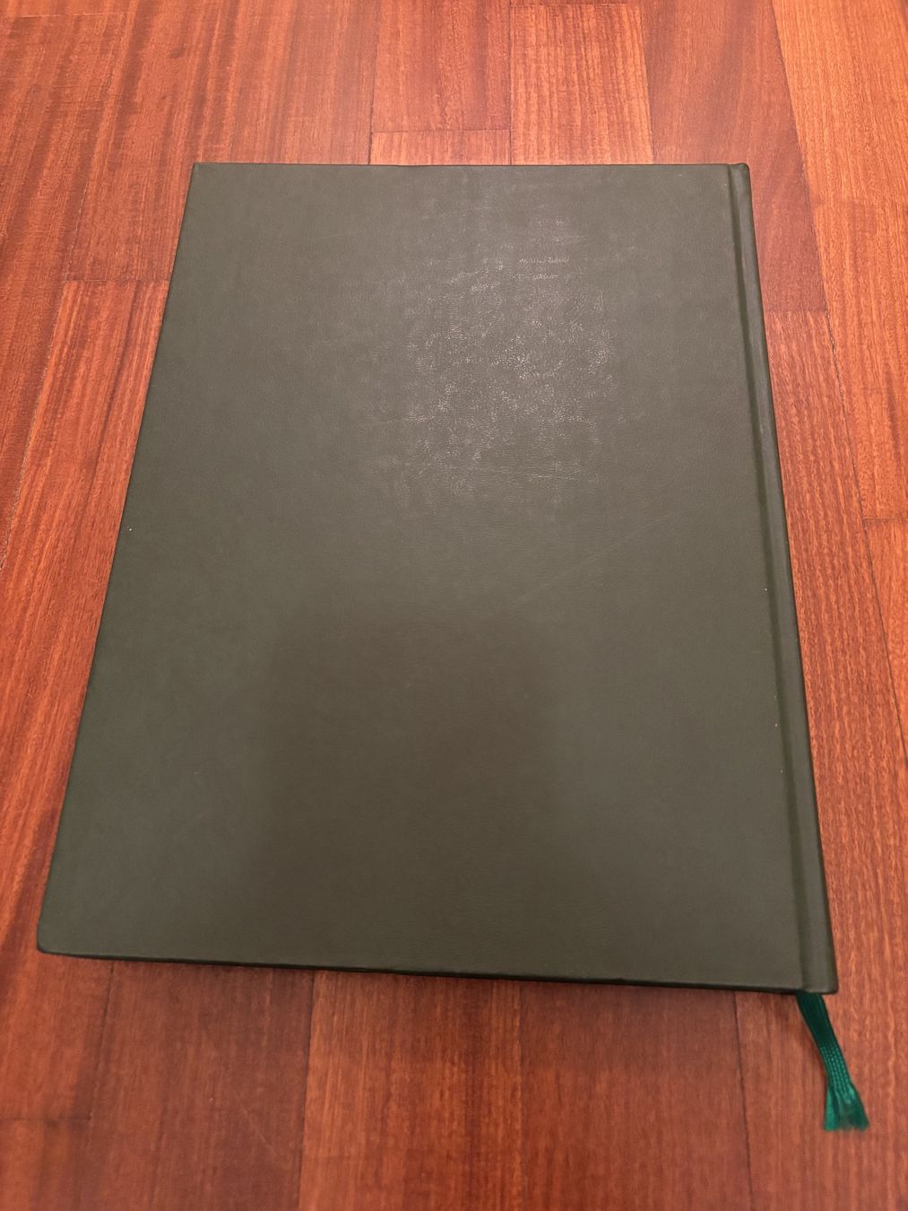 Libri: Ticino Piccola Grande Europa – Usato da Lugano venduto da Mark_Young 3