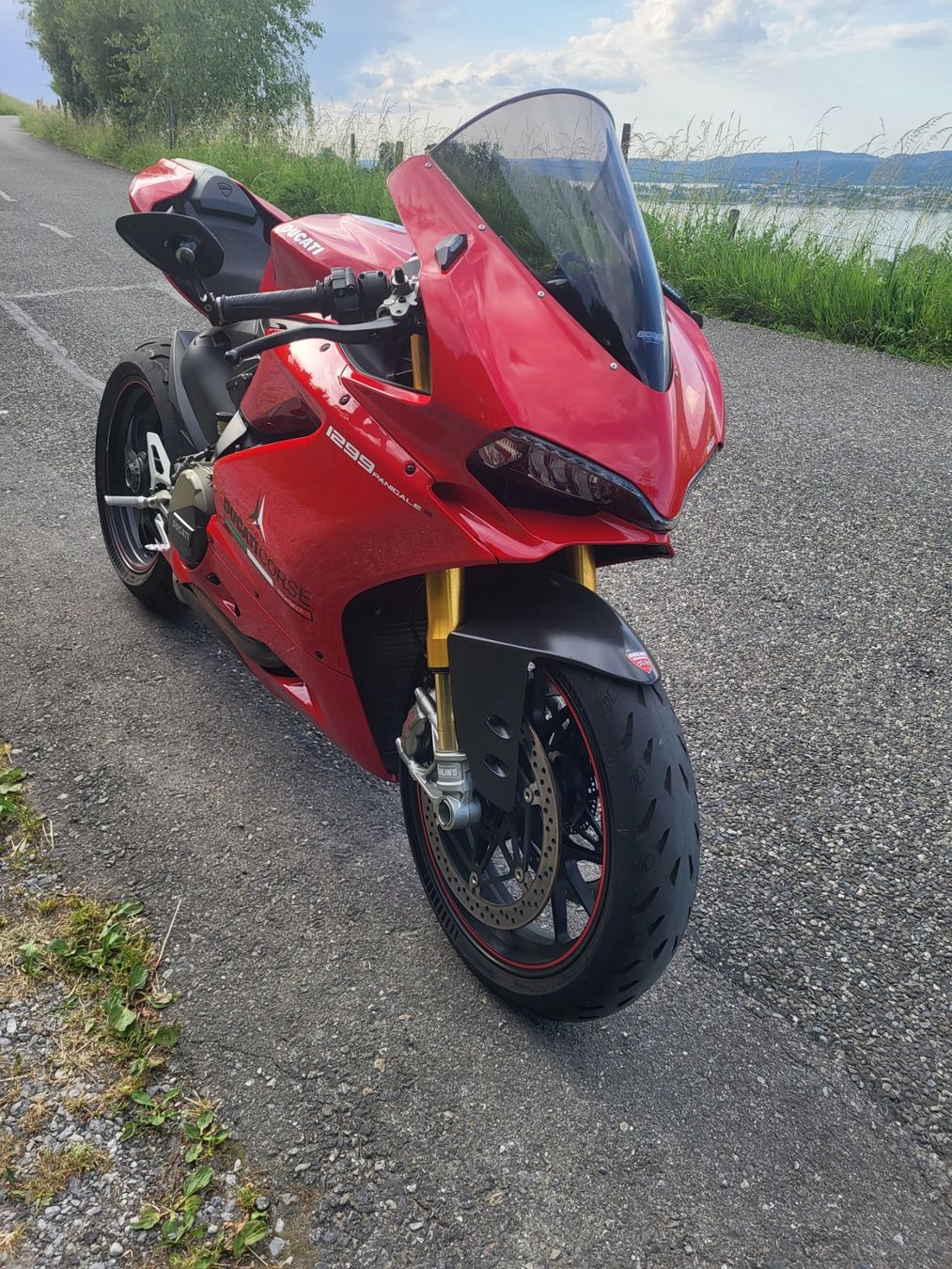 Strada: Ducati 1299 s Panigale – Usato da Fruthwilen venduto da Mostro-Medusa 3