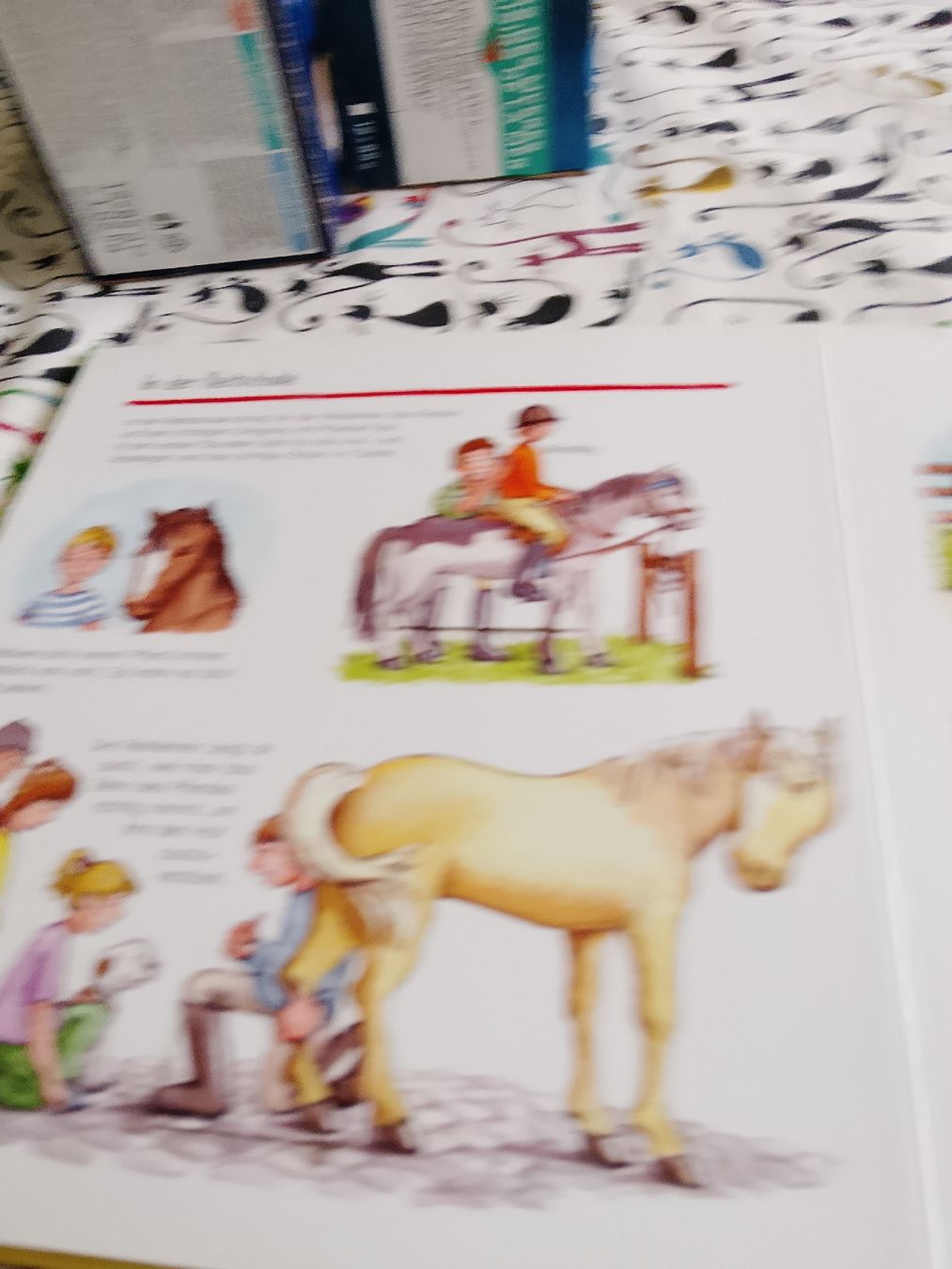 Libri: Pferde und Ponys  – Usato da Volken venduto da katz5 3