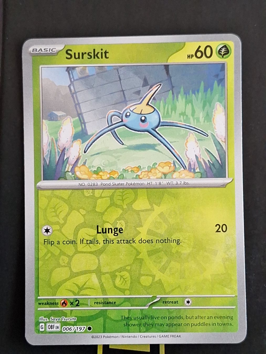 Pokémon Carte collezionabili: Surskit - Pokemon Reverse Holo Obsidian Flames – Usato da Altstätten SG venduto da GGsGameshop