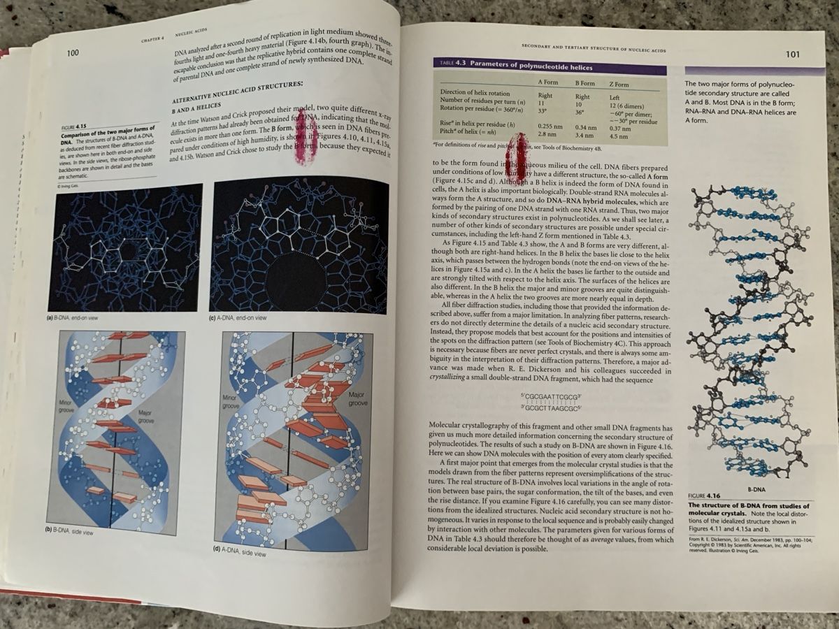 Libri: Biochemistry, 2nd Edition, Matthews/van Holde – Usato da Genève venduto da sunsustains 9
