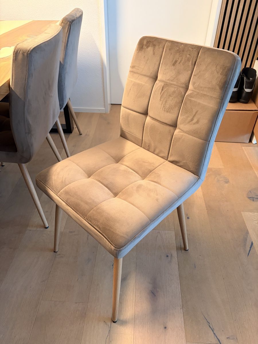 Conforama Sedie: Esszimmerstühle 6er Set – Nuovo (secondo la descrizione) da Aarburg venduto da MaRo1303