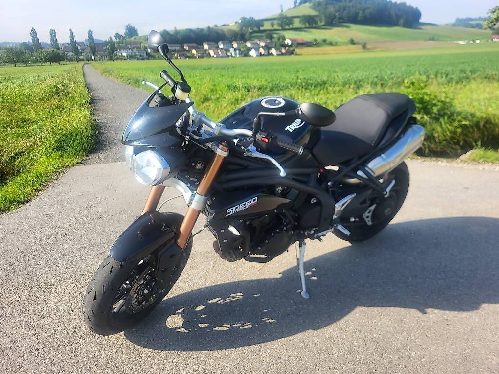 Triumph Strada: Triumph Speed Triple ABS – Usato da Ettiswil venduto da Metz2 1