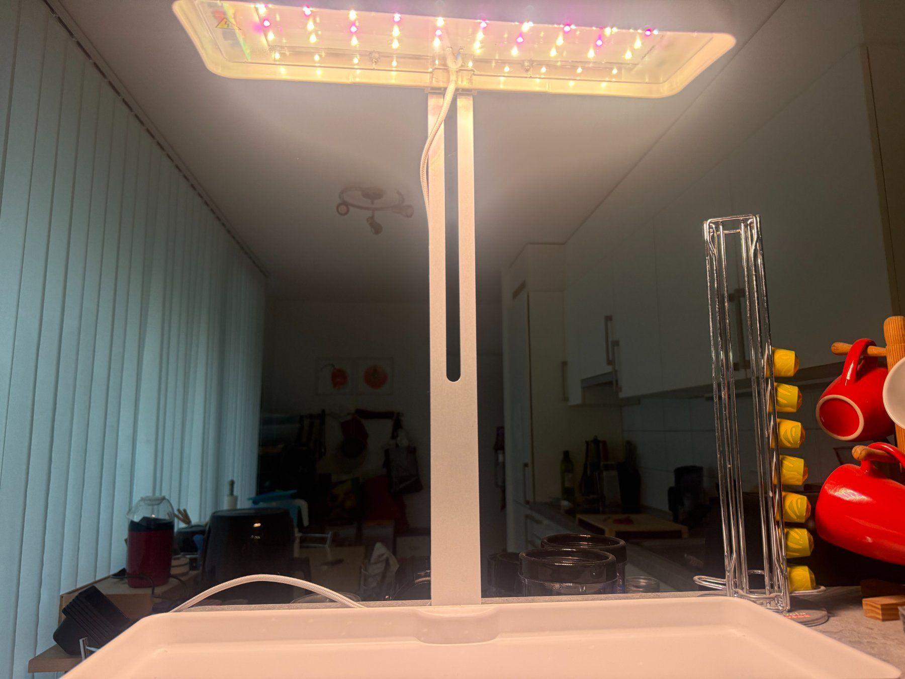 Lampade: Ultraviolet growth light for indoor garden – Usato da Gland venduto da bfranck 1