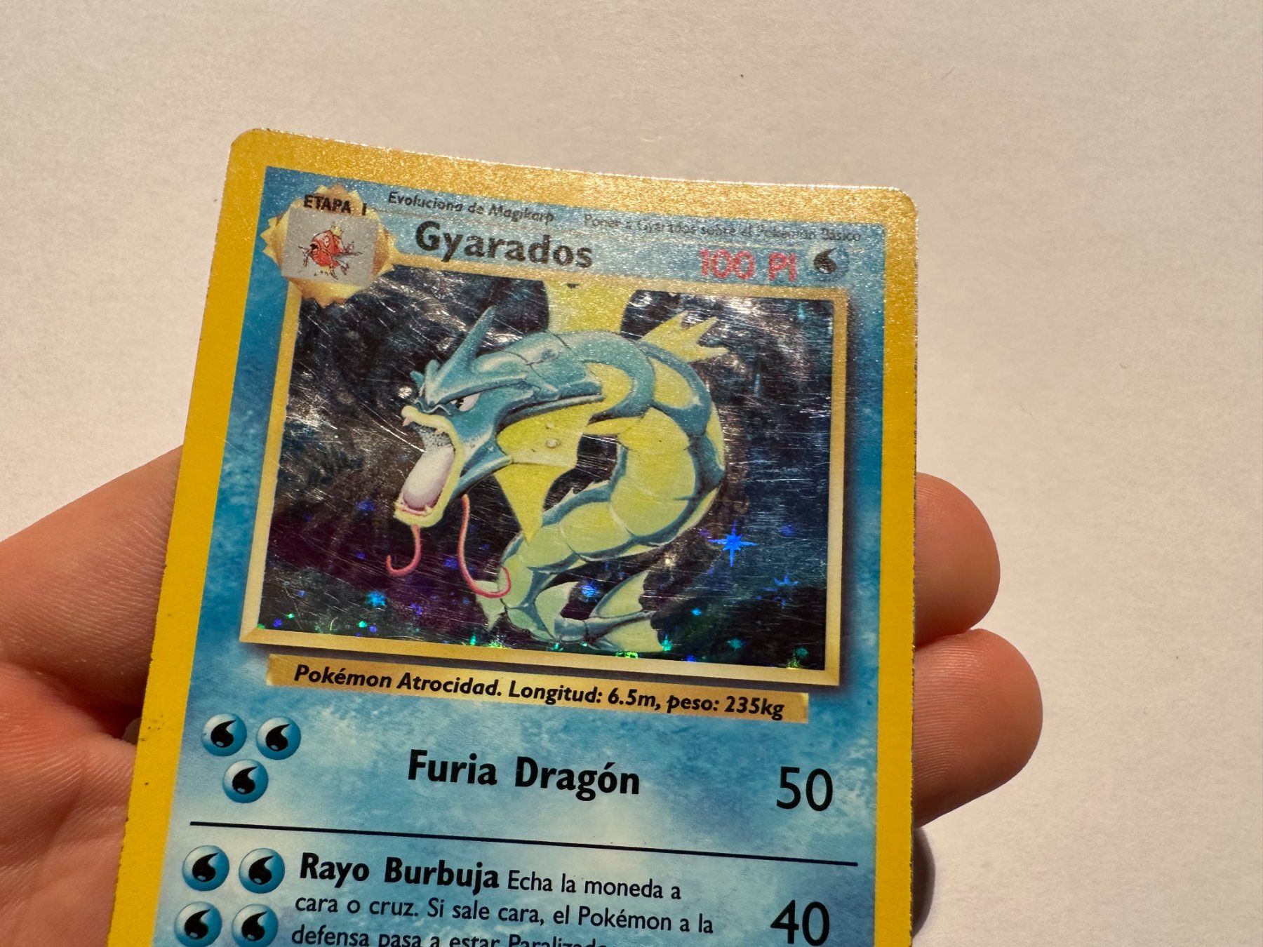 Pokémon Sammelbilder & Trading cards: Gyarados holo Base Spanisch – Gebraucht aus Hagendorn von Pokecollectorch 5