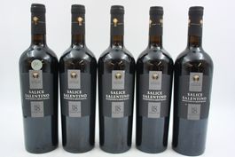 5x Salice Salentino DOP 2022 Rotwein (26100960Z)