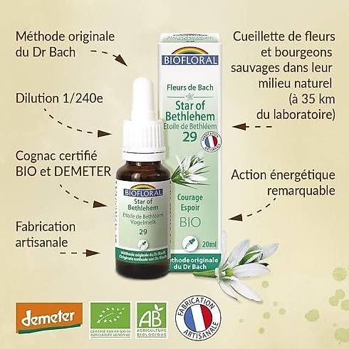 Bücher: DESTOCK: Fleurs de BACK – Gebraucht aus Ecuvillens von n.aissaoui 2