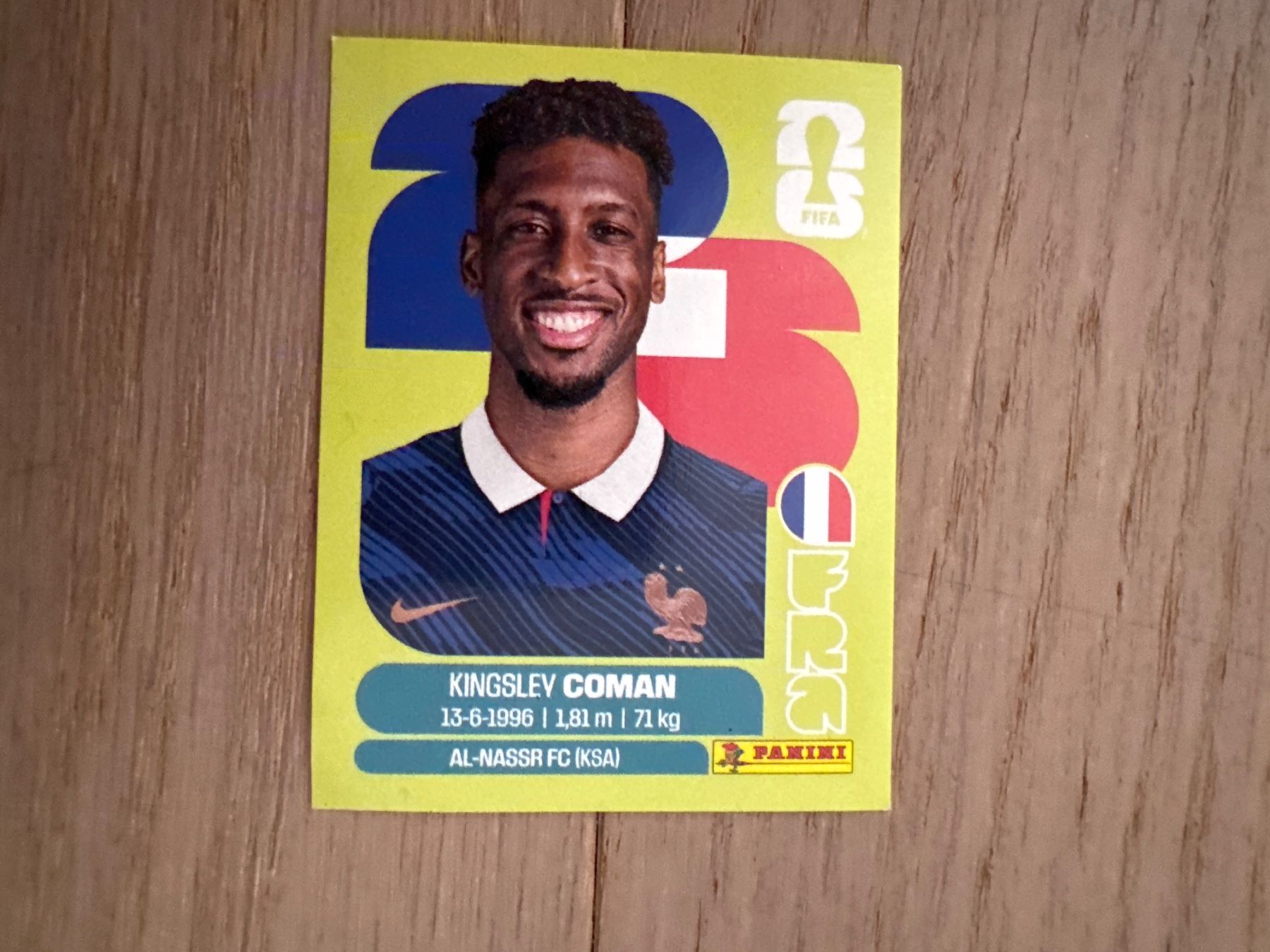 Panini Carte collezionabili: Panini 2026 FRA 17 – Usato da Lausanne venduto da FabienA