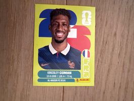 Panini 2026 FRA 17