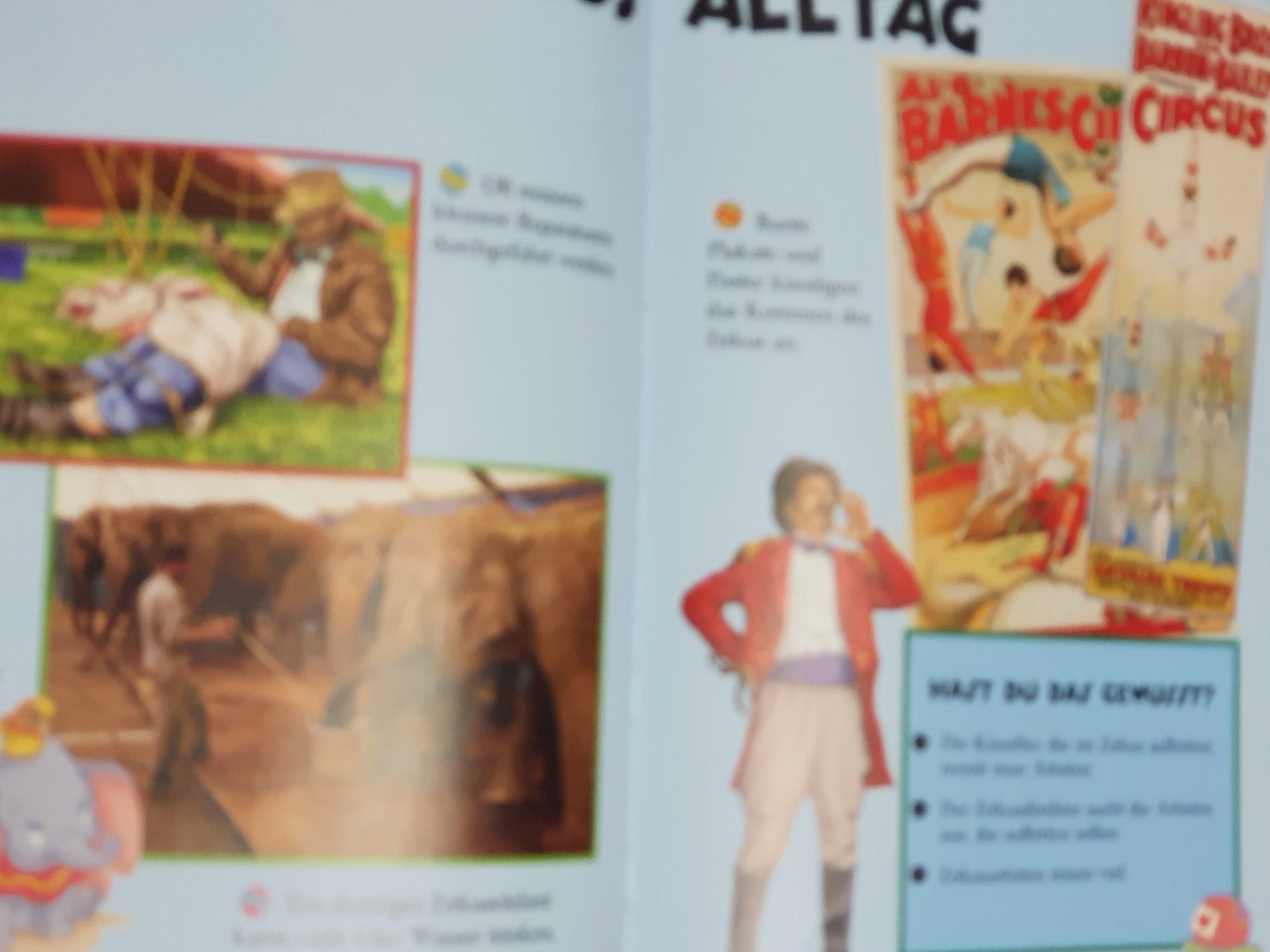 Libri: Disney Buchset / 8 Bücher / 2003 – Usato da Oberdorf BL venduto da BaldenEagle 4