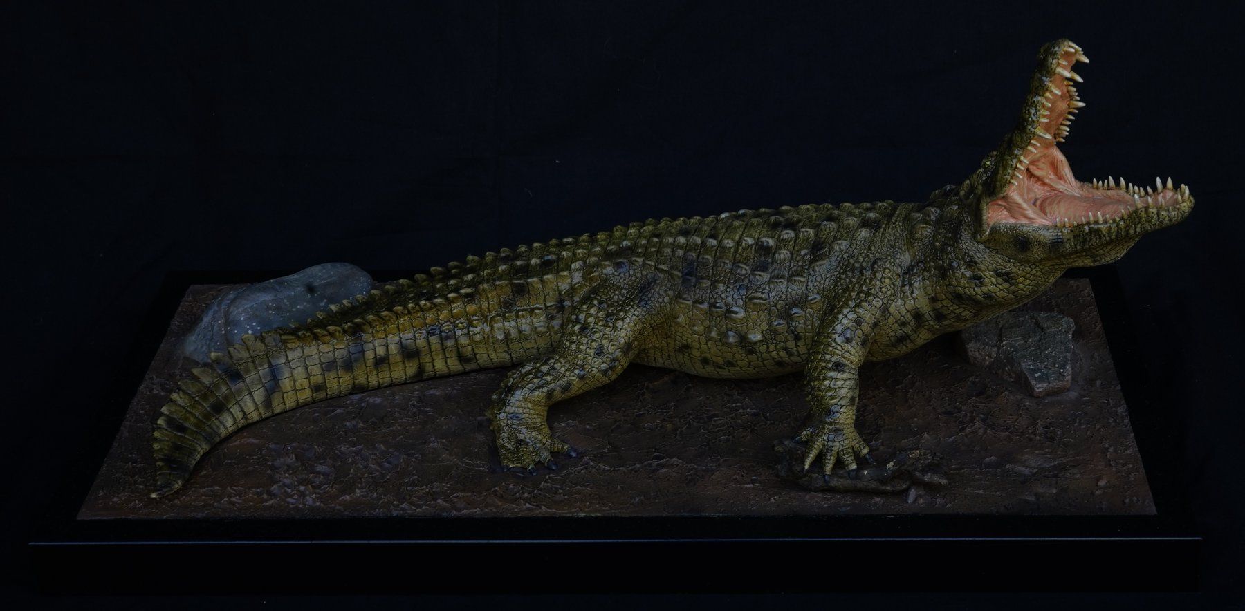 Skulpturen & Statuen: Nilkrokodil von Terry Norton – Gebraucht aus Selzach von Ataraxus 5