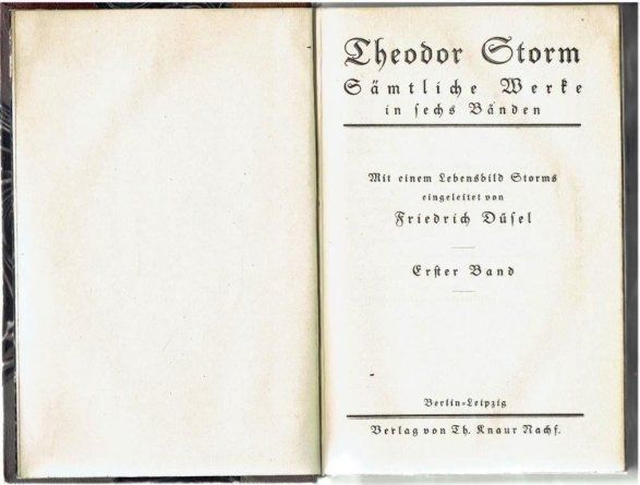 Bücher: Theodor Storms Werke – Gebraucht aus Flims - Dorf von Stagediver 3