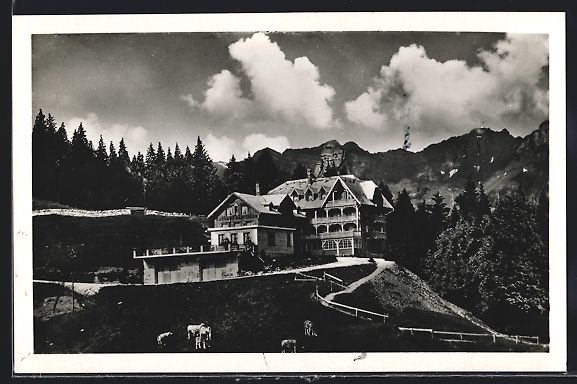 Cartoline postali: AK Flumserberg, Hotel Gamperdon – Usato da Berlin venduto da bartko-reher