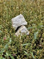 Pierre carbonate métamorphisée / Valais