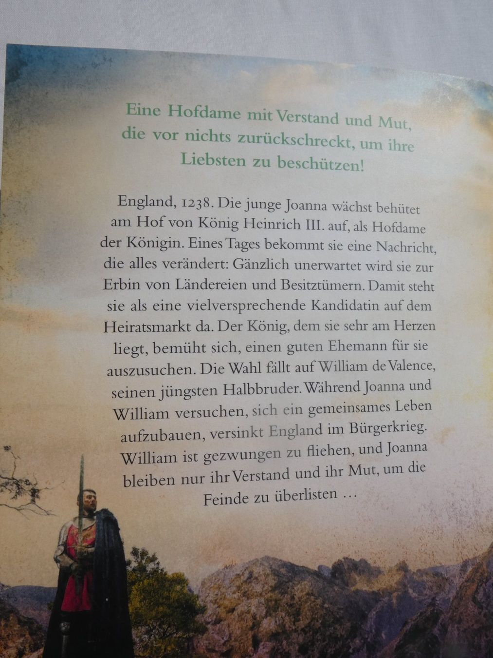 Libri: Das Erbe der Hofdame, von Elizabeth Chadwick – Nuovo (secondo la descrizione) da Gattikon venduto da kaandooh 1