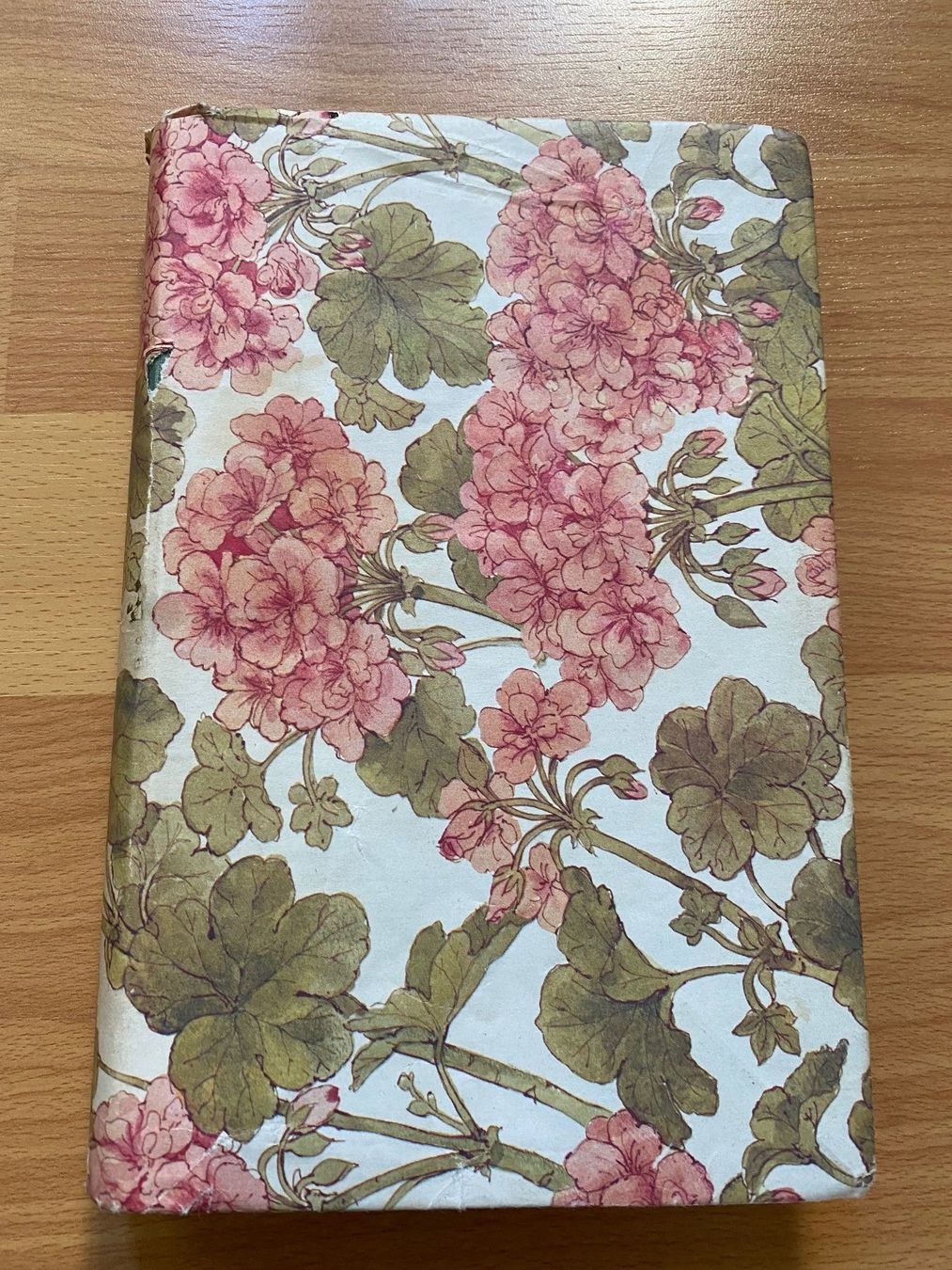 Libri: Flora des Südens, C. Schroeter, 1936 – Usato da Zürich venduto da 2013tg 1