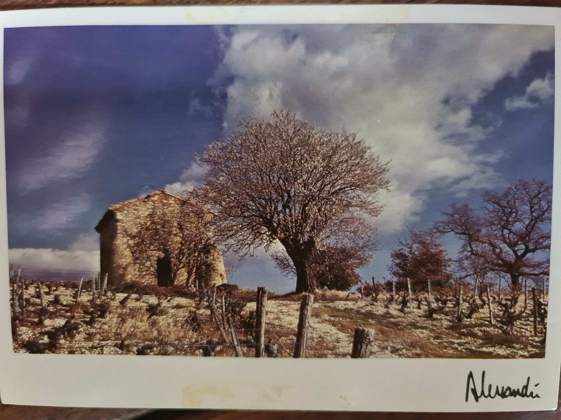 Cartoline postali: Ansichtskarte Provence Cabanon du Mt St.Peyre – Usato da Dintikon venduto da Vexi