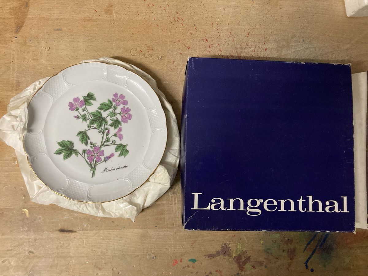 Piatti: Langenthal Teller Malva Alcea, neuwertig im Originalkarton – Nuovo e nell'imballaggio originale da Engelburg venduto da Egowie