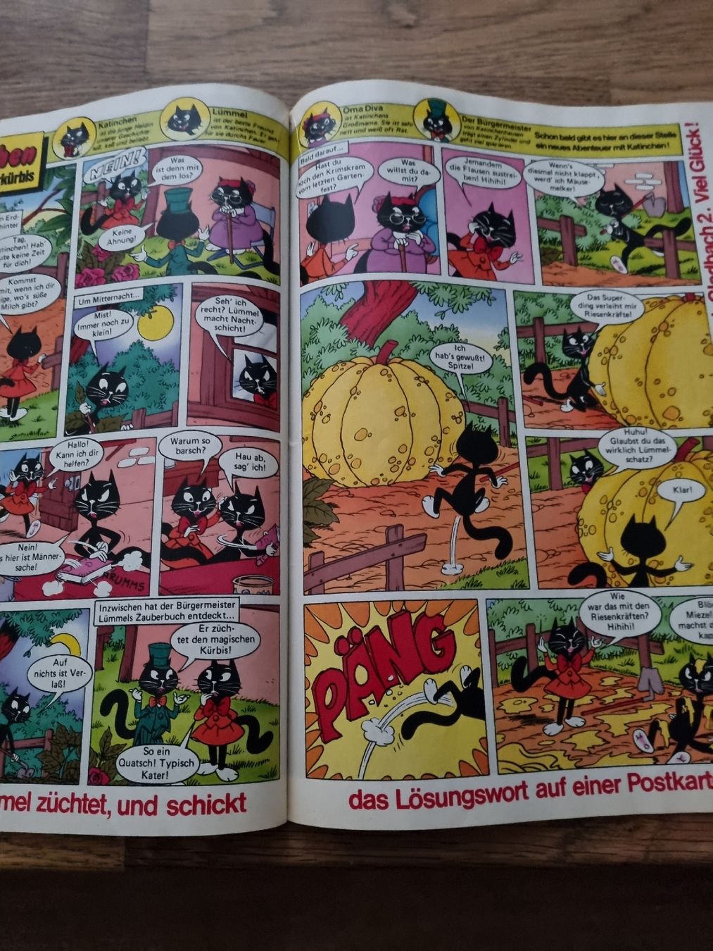 Comics: Silberpfeil Comic Nr. 503 – Gebraucht aus Oberentfelden von Giants 2