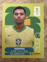 Panini BRA 15