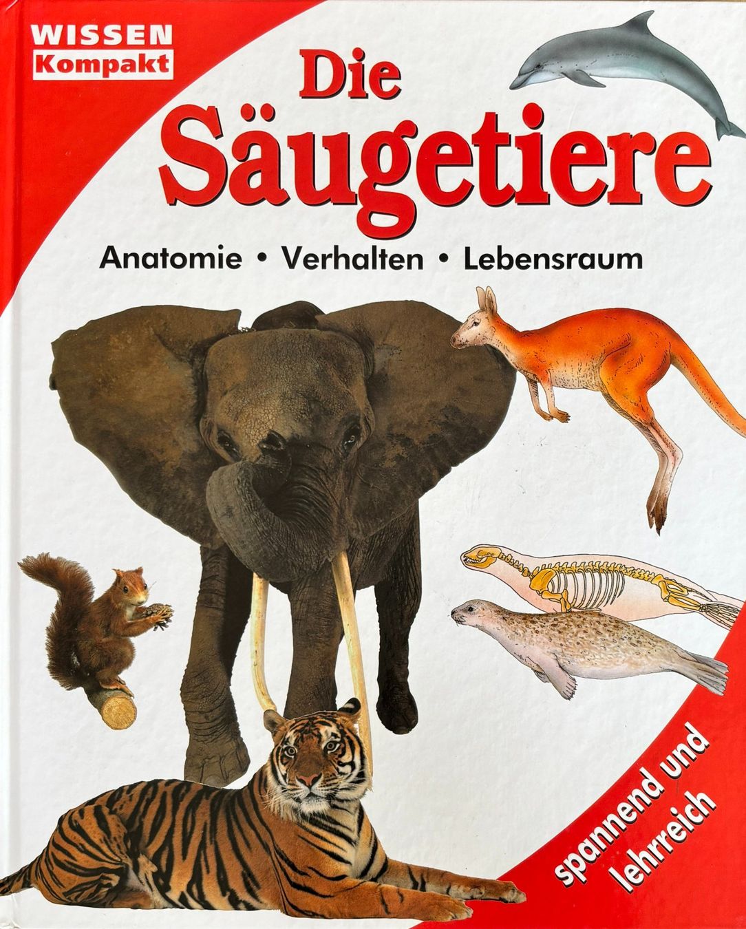 Libri: Die Säugetiere – Nuovo (secondo la descrizione) da Sarnen venduto da Livres