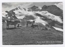 BERNINA HOSPIZ mit PIZ CAMBRENA  1963   (K
