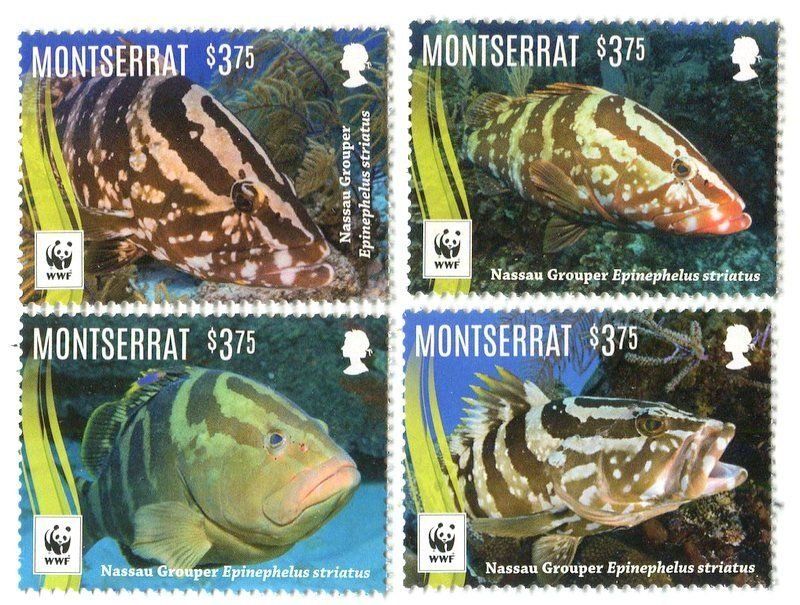 Tous les timbres: Briefmarken "Fische". Montserrat. – Neuf avec emballage d'origine à Basel par Butsch5