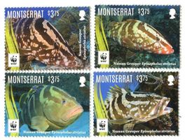 Briefmarken "Fische". Montserrat.