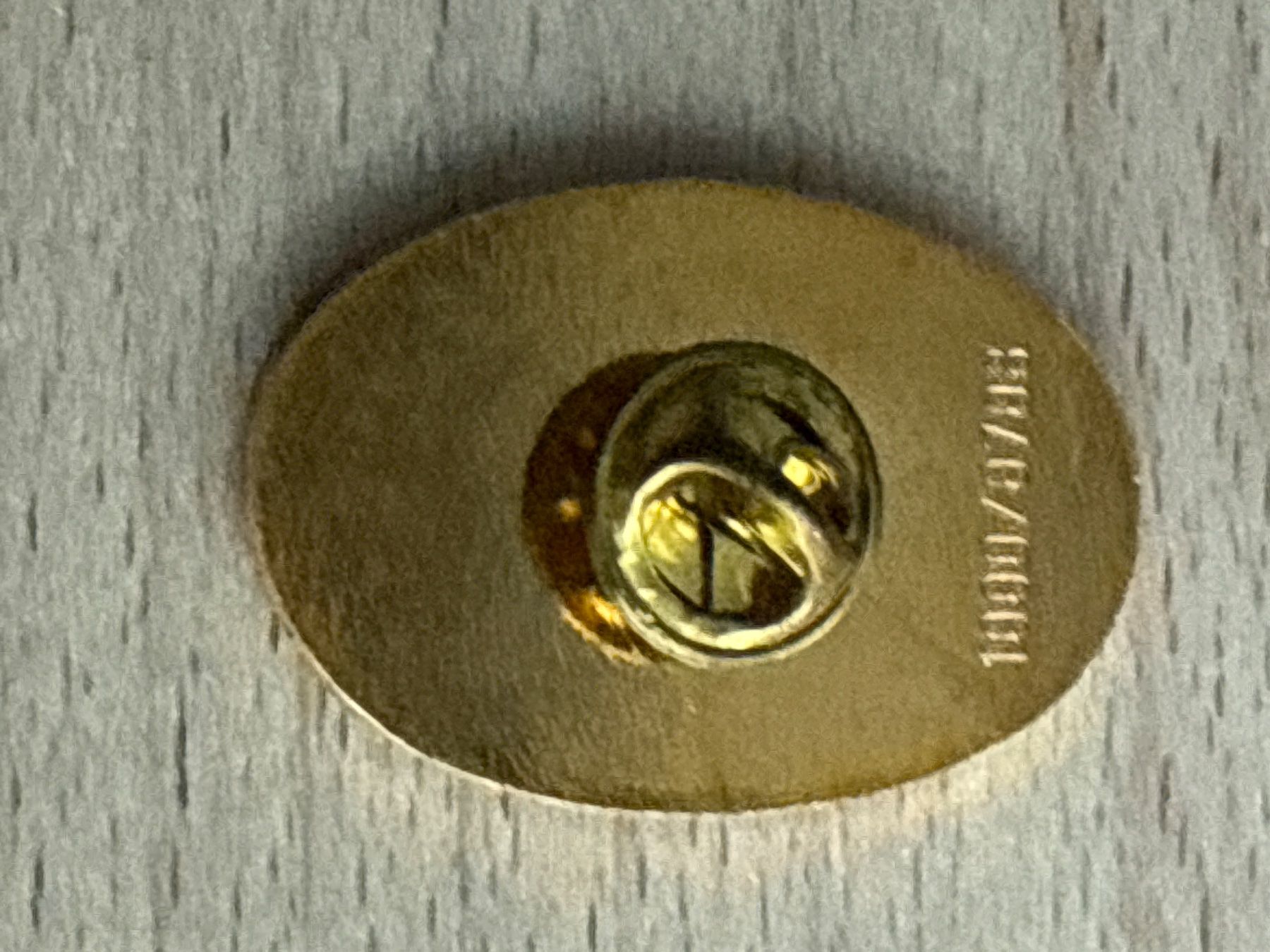 Placchette & Badge: Pin Kantonspolizei Bern – Usato da Glattbrugg venduto da Schweigmatt 1