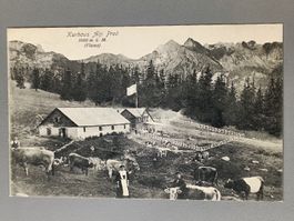 Alte PK / Kurhaus Alp Prod "Flums" Gelaufen Murg 1914