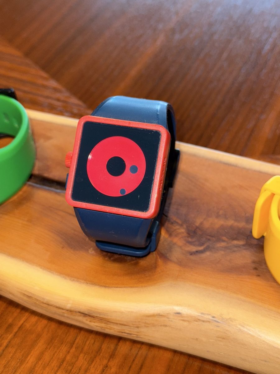 Nixon Orologi: Nixon - Newton – Usato da Schlieren venduto da Cachorroquente