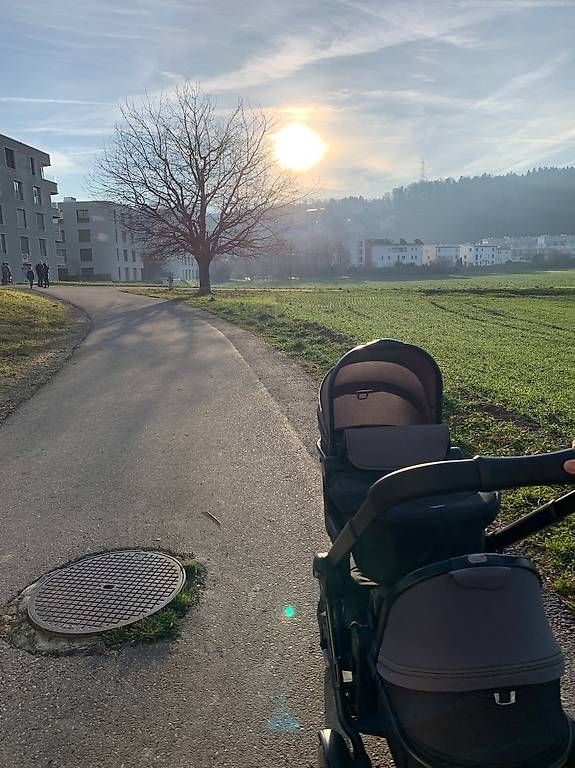 Carrozzine: zwillingswagen chicco + 2 baby schale Graco GRATIS  dazu – Usato da Fällanden venduto da Rada_2909 2