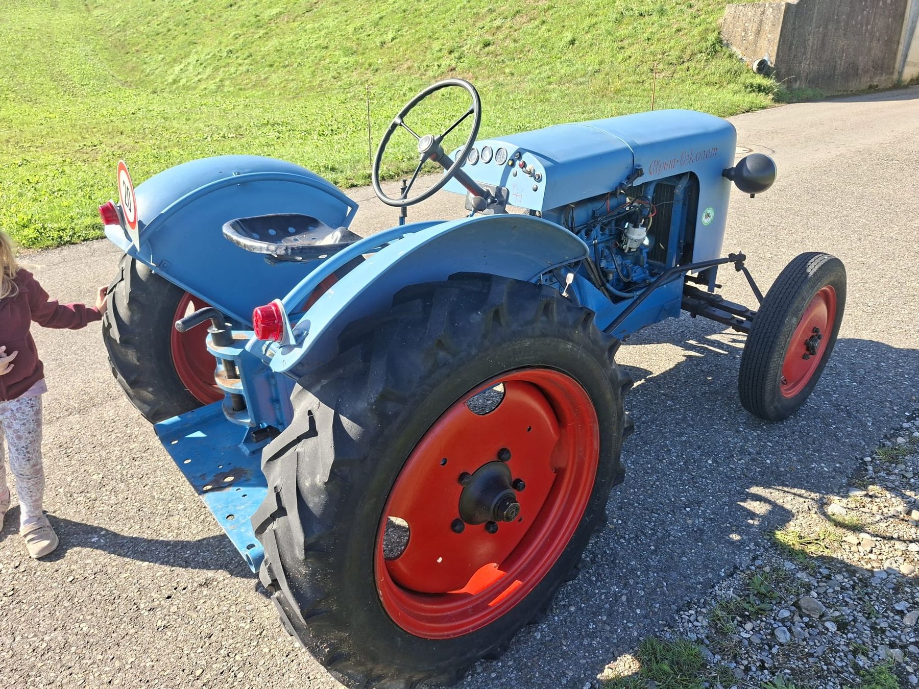 Alpina Trattori: Traktor Alpina Oekonom – Usato da Lütisburg venduto da Subanderio 2