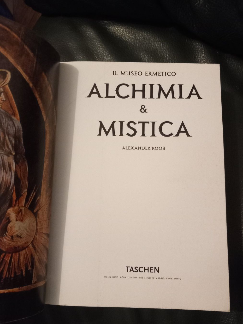 Bücher: Livre alchimia & mystica – Gebraucht aus Le Grand-Saconnex von Rgt87 3