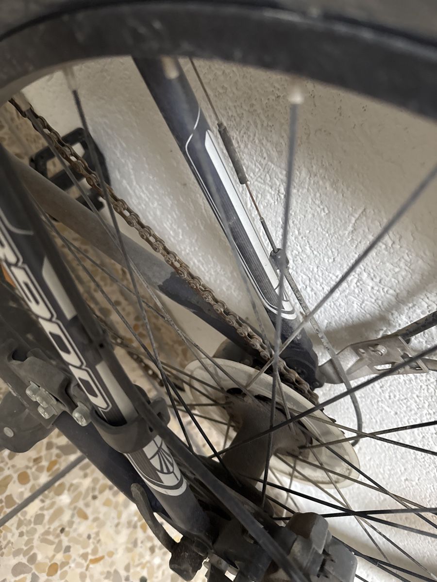 Trek Biciclette: Trek Fahrrad - 3900 – Usato da Schlieren venduto da nowaya 3