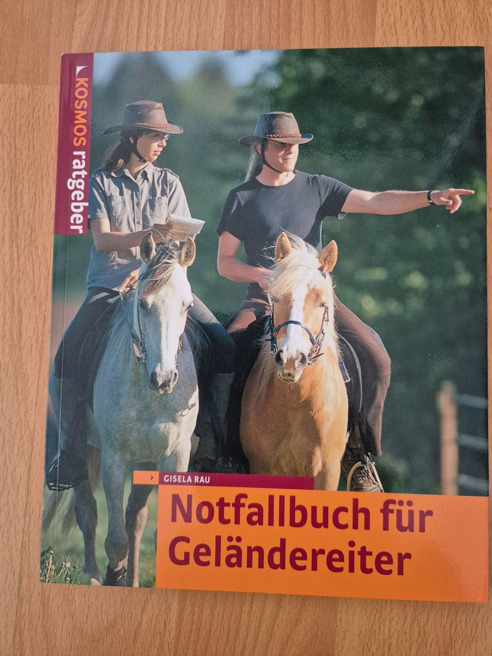 Zaumzeug & Halfter: Pferdefachbuch – Gebraucht aus Meggen von Orrinka20