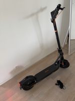 E-Scooter Segway-Ninebot F2 Pro E 2025 mit Beleg & Garantie