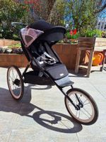 Cybex AVI Kinderwagen