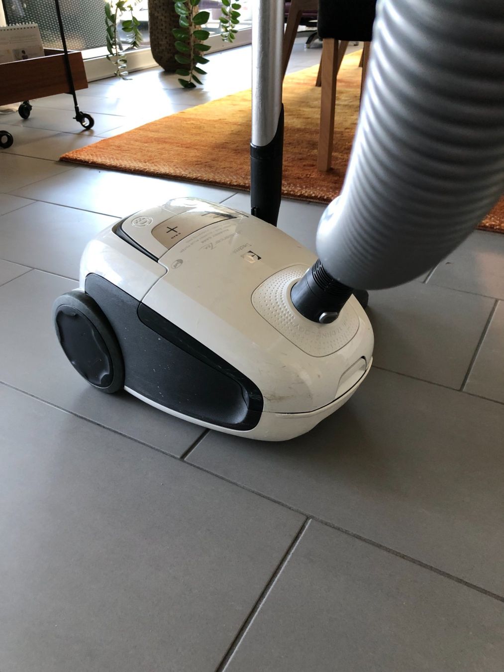 Electrolux Aspirapolveri & Accessori: Staubsauger – Usato da Meisterschwanden venduto da pms_gfn2 1