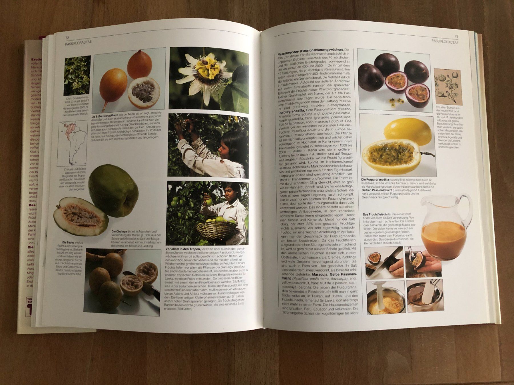 Livres: Teubner Kochbücher – Neuf (Voir description) à Lyss par sfbuetikofer 1