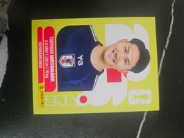 JPN 7