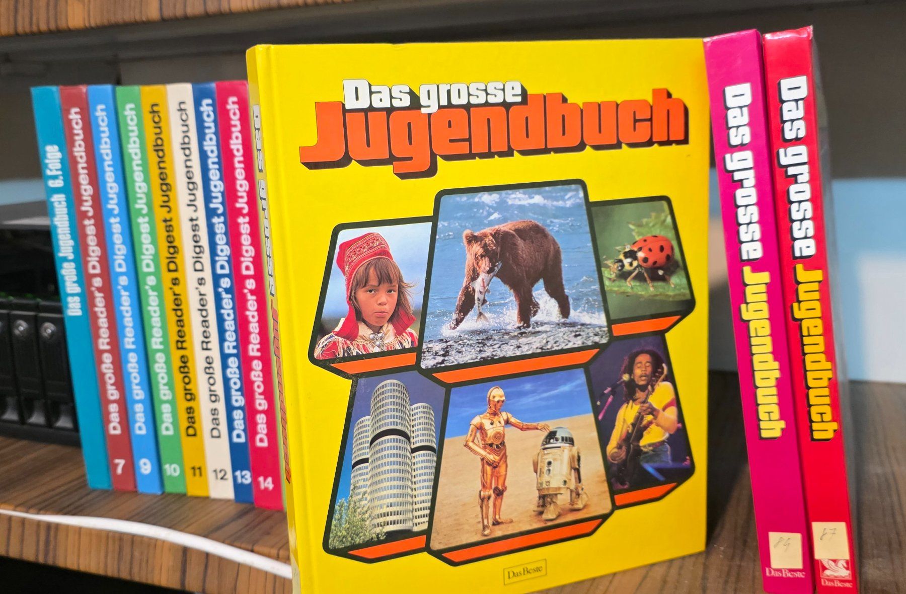Libri: Reader's Digest Jugendbuecher, 19 Baende – Usato da Kappelen venduto da Vertigo5 2