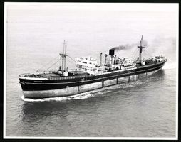 Fotografie Frachtschiff Thistlemuir in F