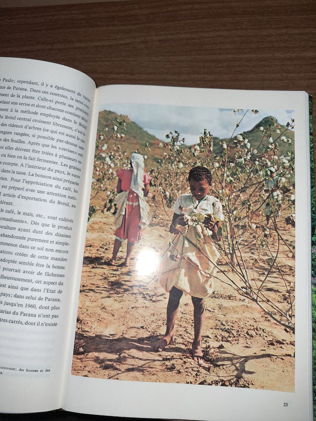Libri: Livre sur le brésil – Usato da Le locle venduto da juliensaran 2