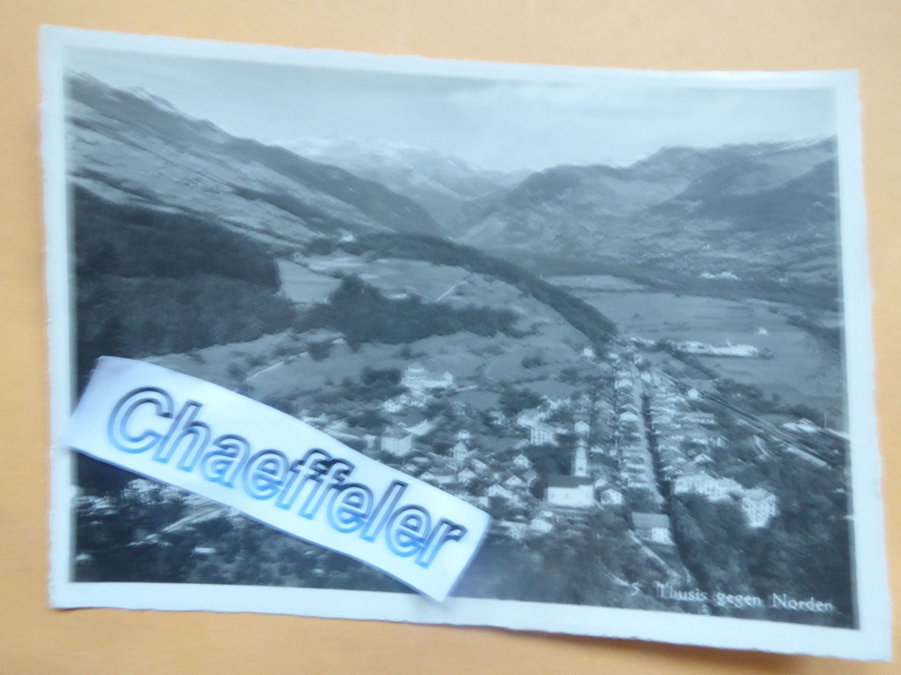Cartoline postali: 5  Thusis gegen Norden – Usato da Zürich venduto da Chaeffeler