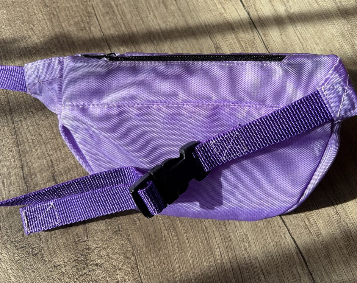 Borse & Zaini: Bauchtasche/ Umhängetasche Mädchen – Usato da Kappel SO venduto da Fabruzzi 2