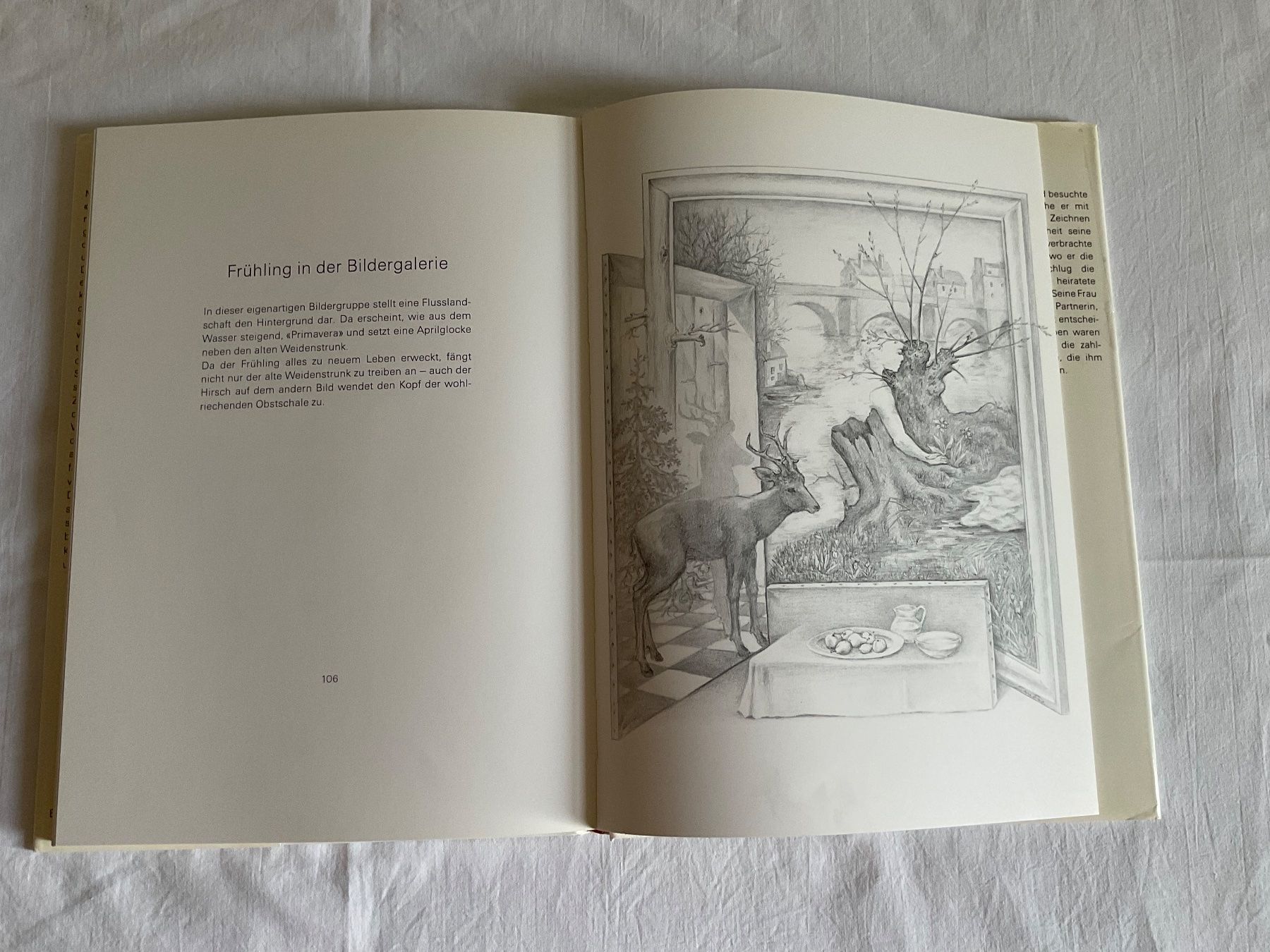 Livres: Sandro Del-Prete,  Illusorismen – D'occasion à Bern par jas_8tz2 1