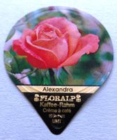 Série 72 - Roses  (40)