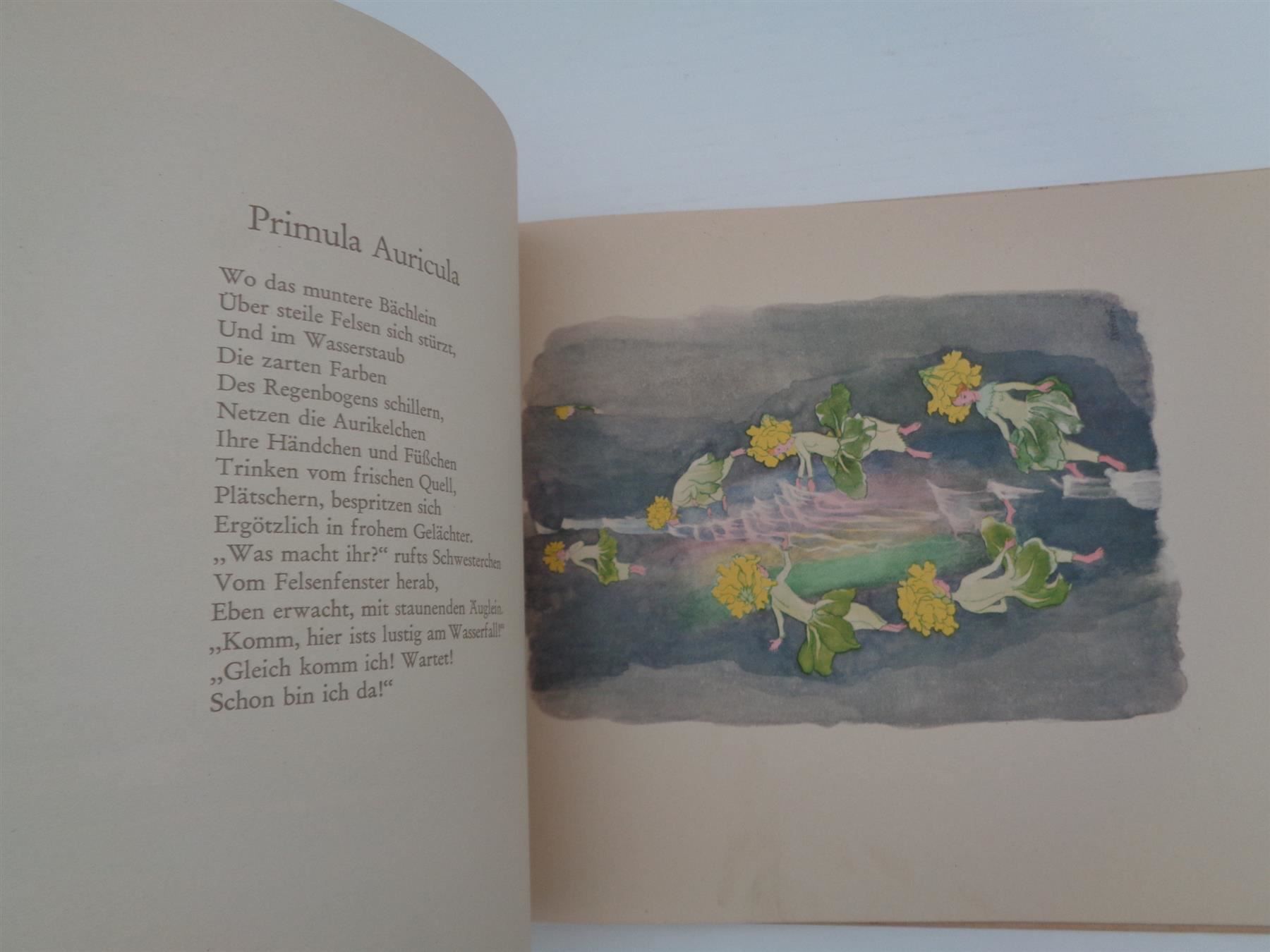 Livres: Alpenblumenmärchen Ernst Kreidolf -1933 – D'occasion à Chur par omonia 7