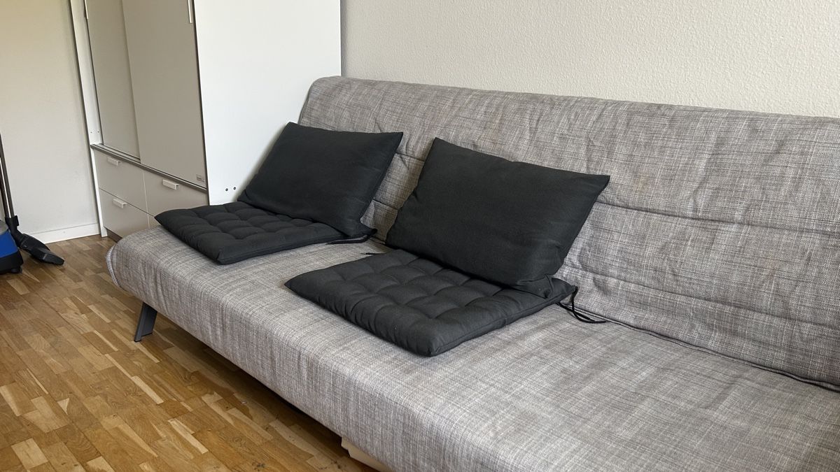 Divani: Sofa ausziehbar GRATIS – Usato da Zürich venduto da ber_b77d 3